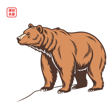 矢量插圖動物棕熊