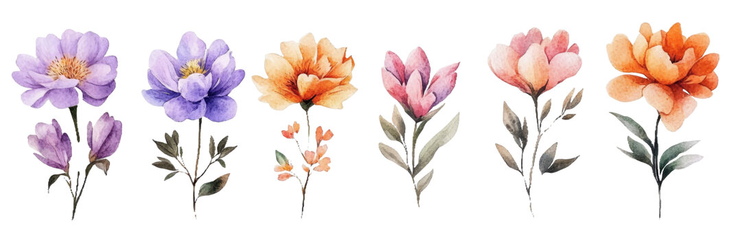 [免摳素材]水彩花卉插圖系列