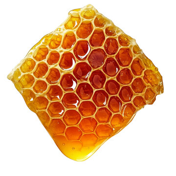 [免摳素材]蜂窩蜜的精美細(xì)節(jié)特寫