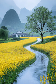 油菜花路樹遠(yuǎn)山