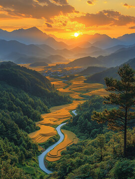 金色稻田與遠(yuǎn)山