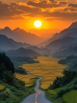 金色稻田與遠(yuǎn)山