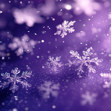 紫色雪景圖