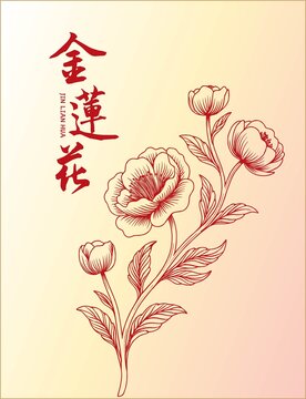 金蓮花