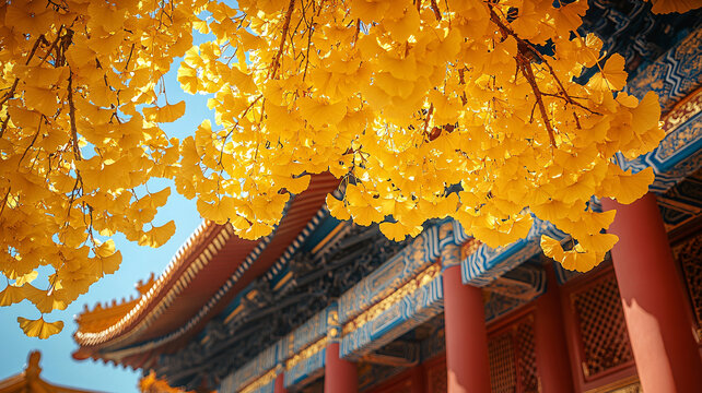 古建筑與金黃銀杏相映成趣的景致