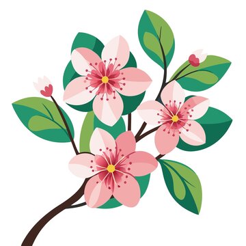 花朵
