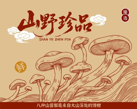 山珍菌菇包裝插畫