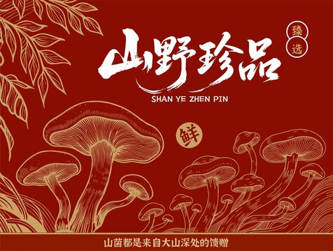 山珍菌菇包裝