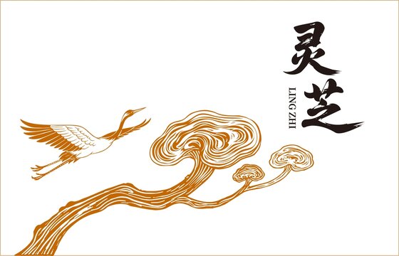 靈芝包裝插畫