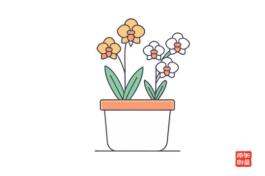 盆栽蘭花簡約插畫