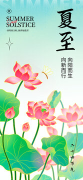 夏至荷花夏季節(jié)氣海報(bào)