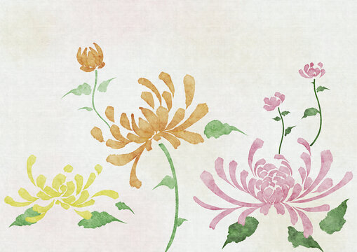 菊花壁紙