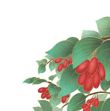 枝頭紅果綠葉插畫圖