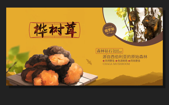 樺樹茸