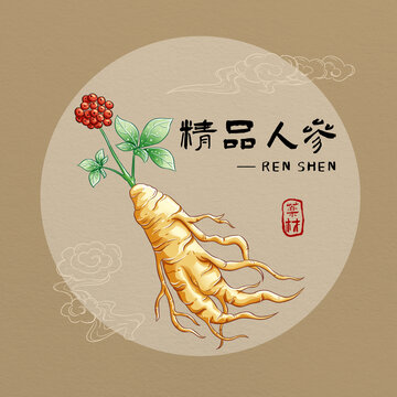 人參中藥材插畫