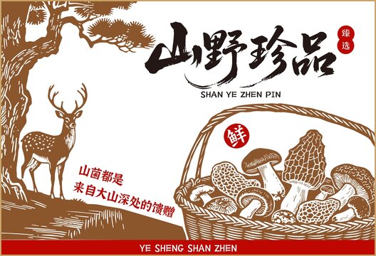 山珍菌菇包裝插畫