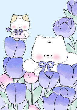 治愈系小貓