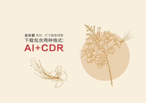 金鳳花