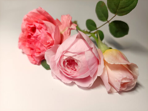 花束