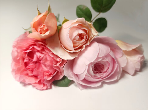 花束