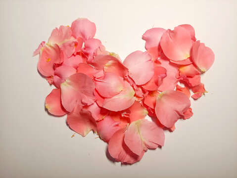 愛心花瓣