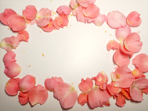 花瓣