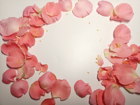 花瓣