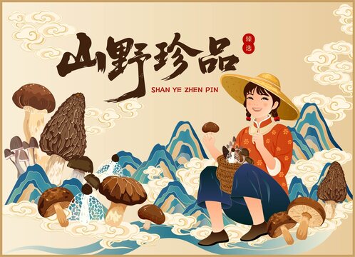 山珍菌菇包裝