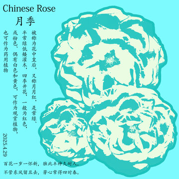 水墨風(fēng)月季花卉插畫