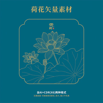 荷花矢量素材