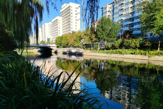 北京北護城河東段