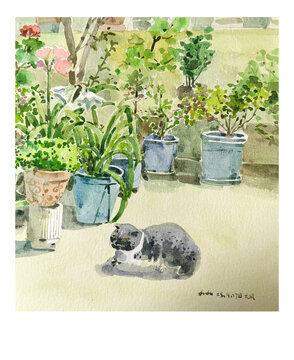 植物小貓