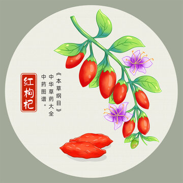 紅枸杞插畫手繪