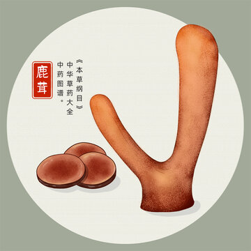 鹿茸插畫手繪
