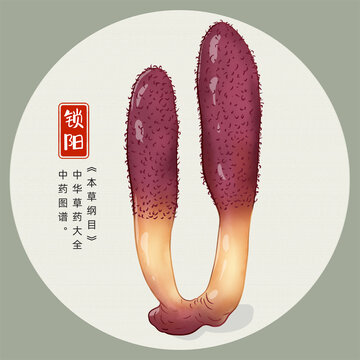 鎖陽插畫手繪