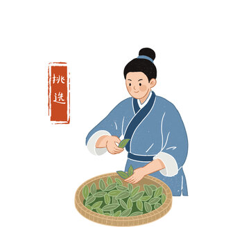 古代人挑選茶葉場景插畫