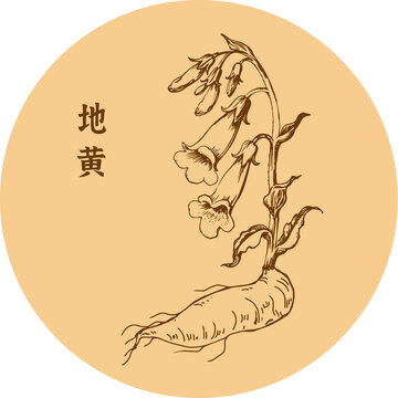 手繪地黃植物圖案