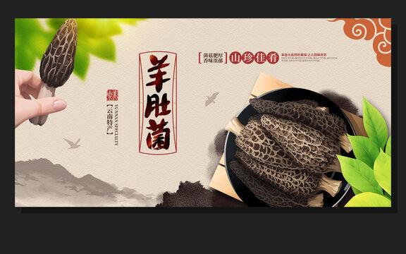 羊肚菌