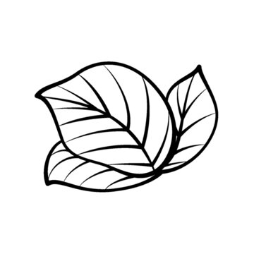 簡約手繪葉片圖案