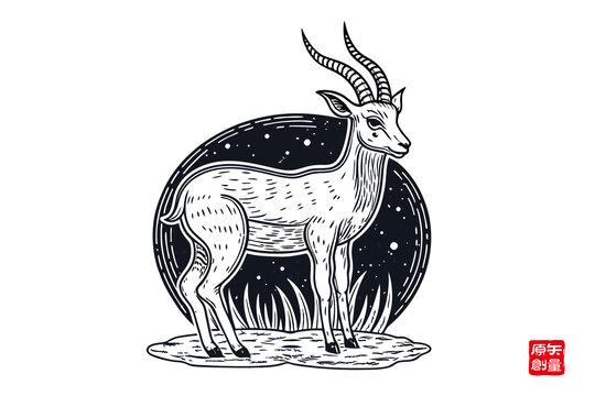 月夜下的優(yōu)雅羚羊插畫(huà)