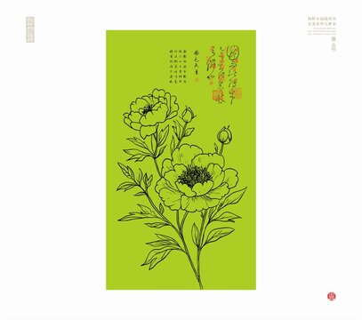 牡丹花線描圖牡丹白描插圖