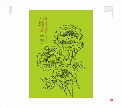 水墨牡丹花線描圖牡丹線條畫