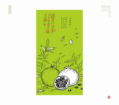 石榴矢量圖石榴線描圖