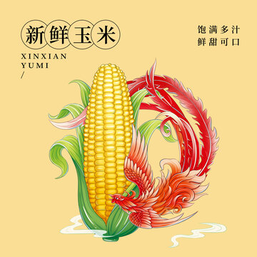 玉米包裝插畫