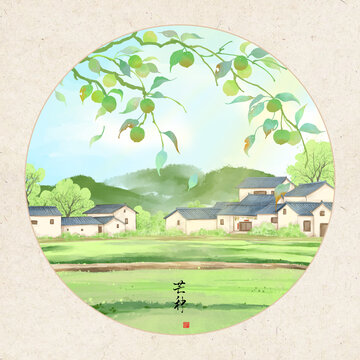 芒種時(shí)節(jié)鄉(xiāng)村田園圖景