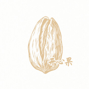 開心果插畫