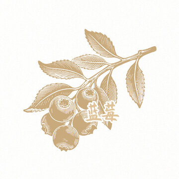 藍(lán)莓免扣素材