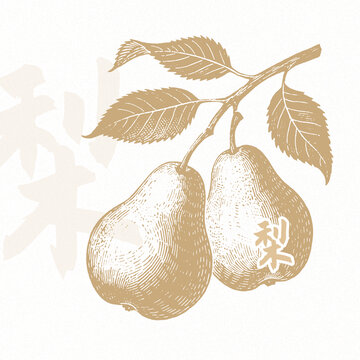 梨