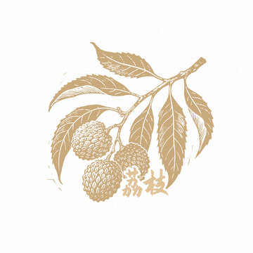 荔枝線稿