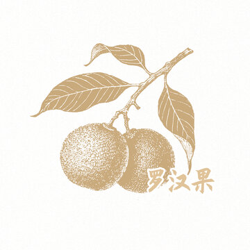 羅漢果